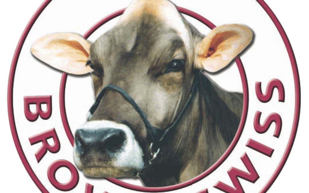 2026 Brown Swiss AGM and Open Day