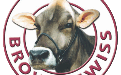 2026 Brown Swiss AGM and Open Day