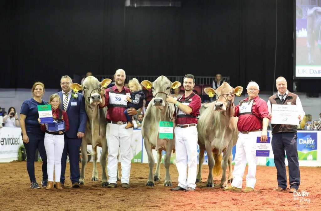 2021 Brown Swiss National Show Results from UK Dairy Day