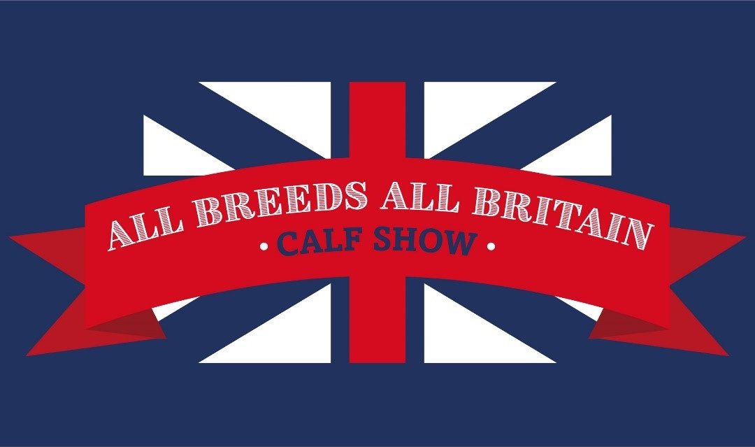 Another great ALL BREEDS ALL BRITAIN CALF SHOW