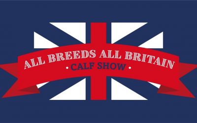 ALL BREEDS ALL BRITAIN CALF SHOW…. 2021 results