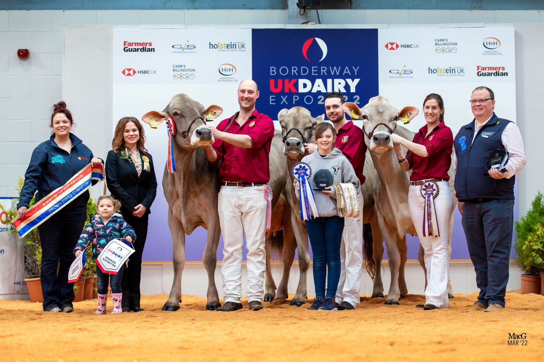 2022 Show Season off to a great start at Borderway UK Dairy Expo Brown Swiss