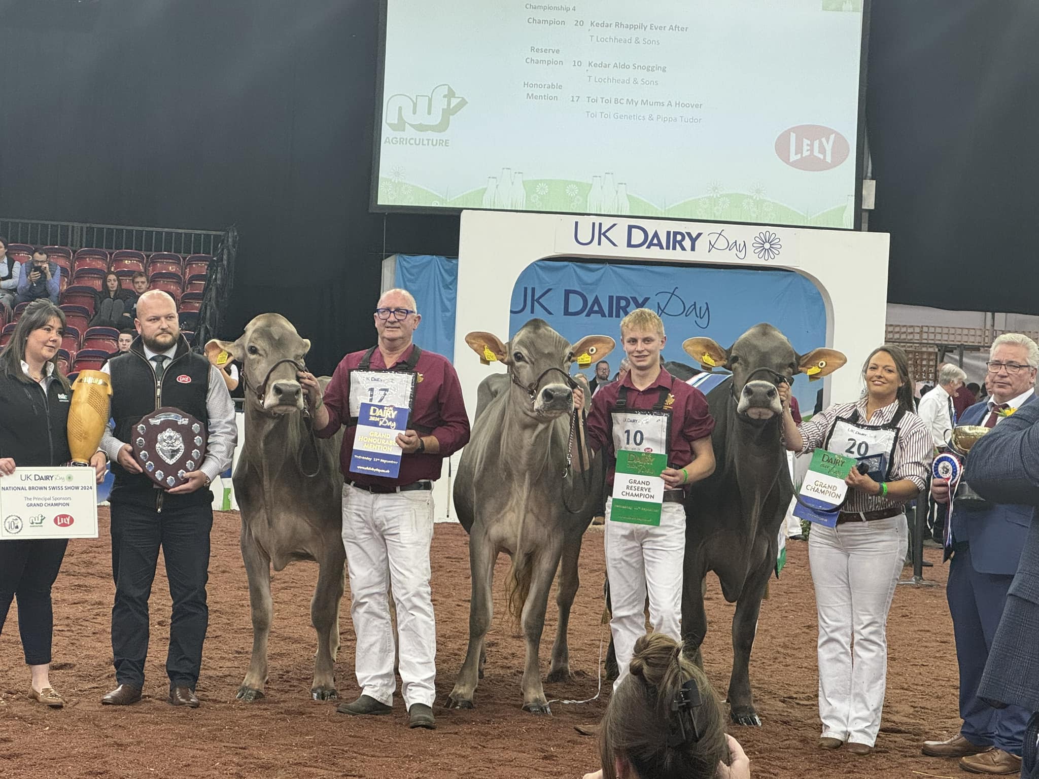 UK DAIRY DAY National Brown Swiss Show Brown Swiss UK DAIRY DAY National Brown Swiss Show Brown Swiss