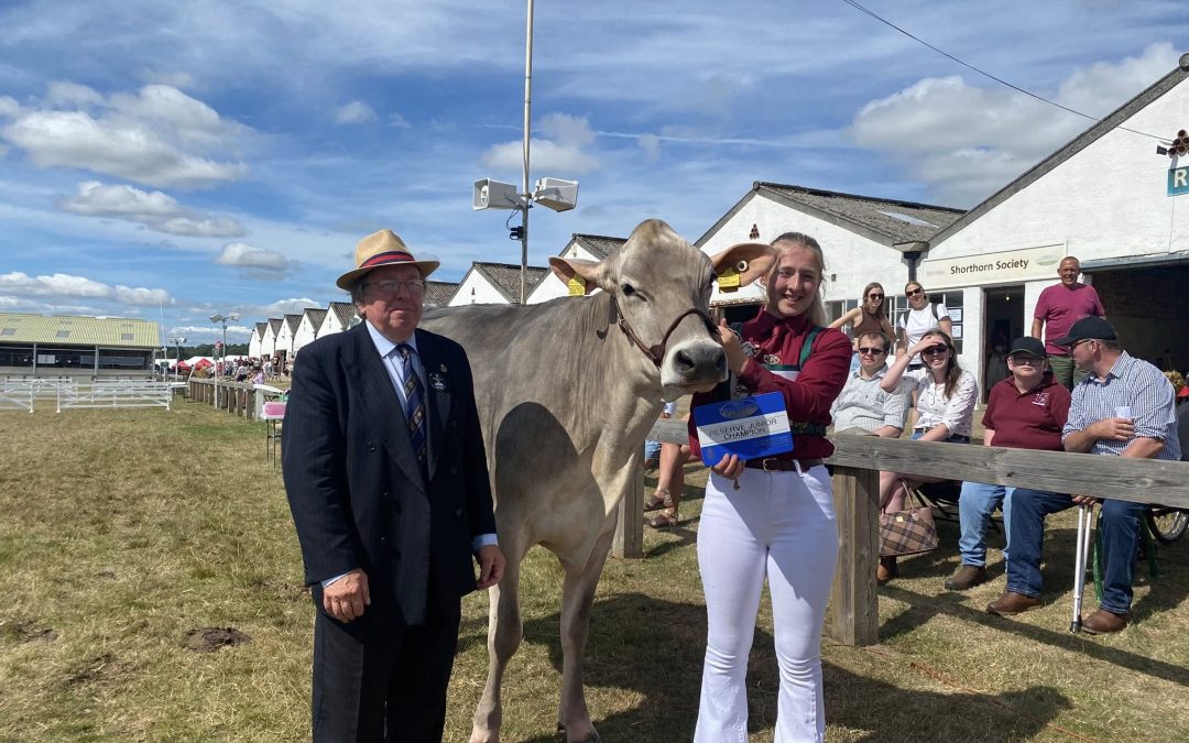 Brown Swiss wins Any Other Dairy Breed at The Great Yorkshire Show