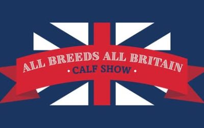 All Breeds All Britain Calf Show 2025