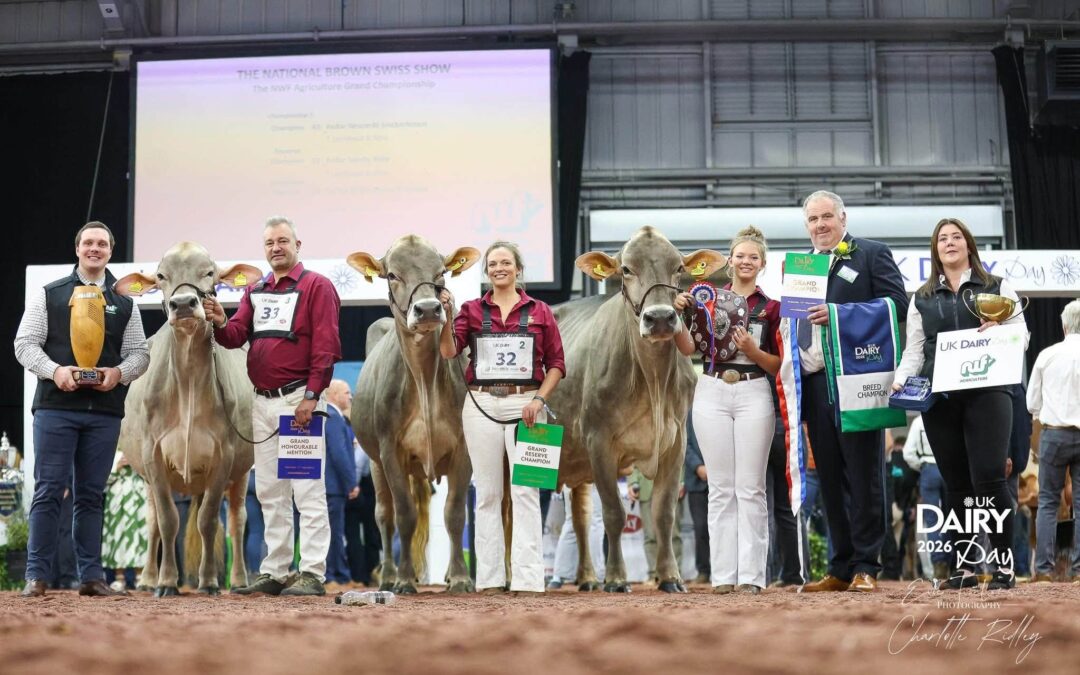 National Show 2026 – Results