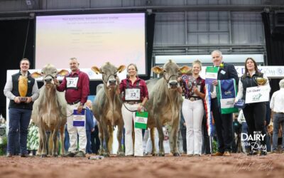 National Show 2026 – Results